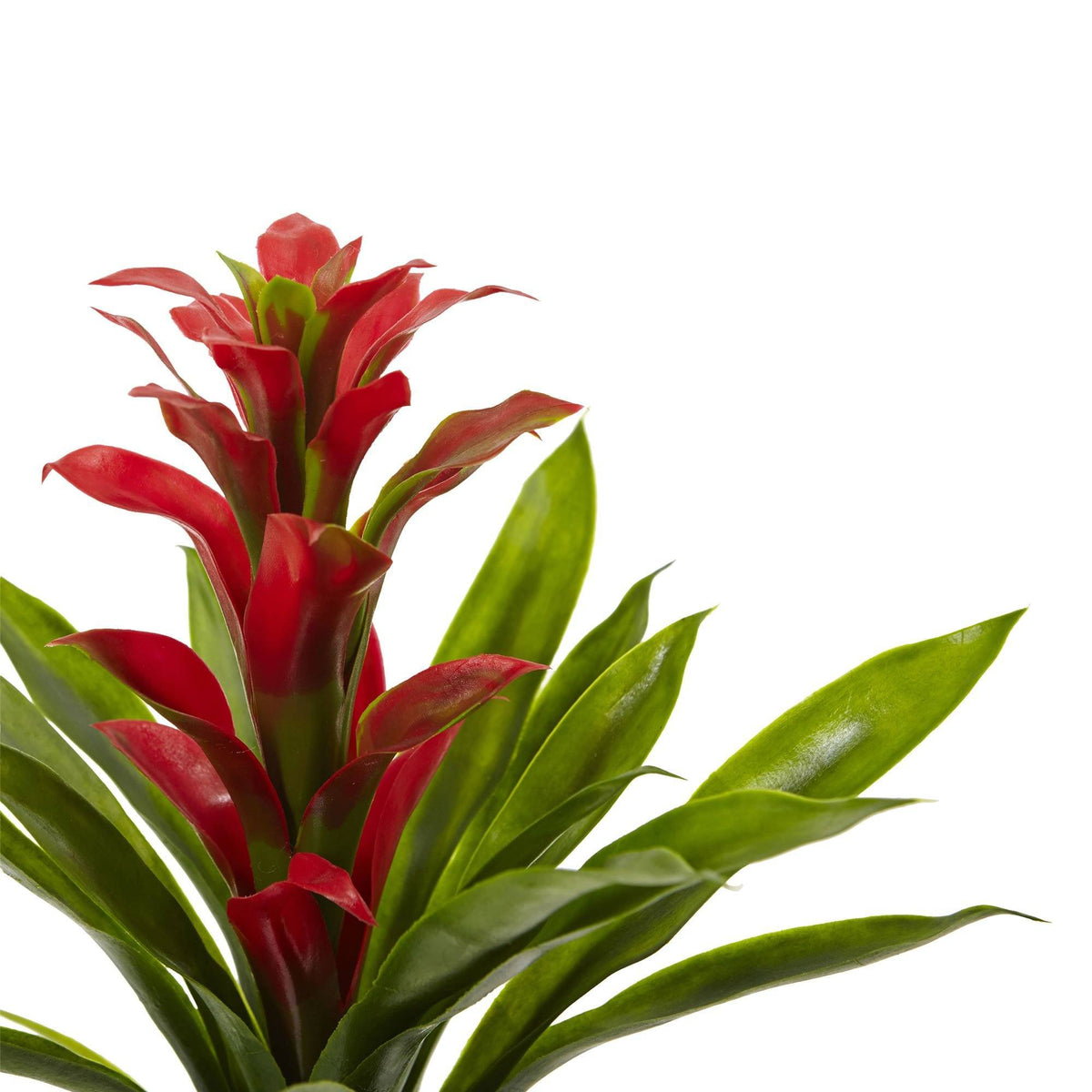 15” Artificial Bromeliad Flower (Set of 4), photo 5 of 7