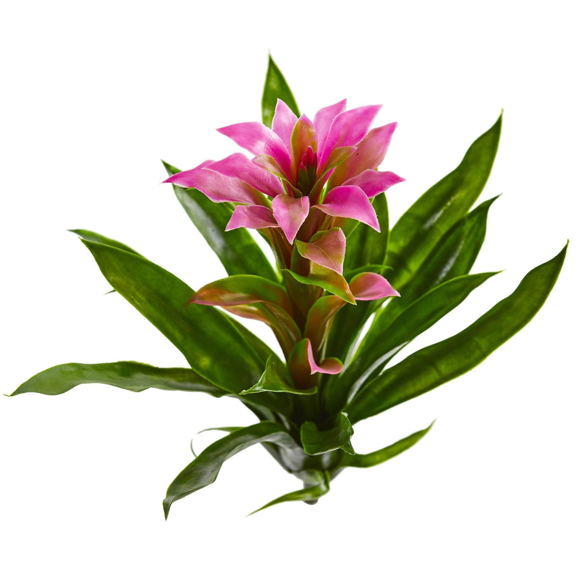 15” Artificial Bromeliad Flower (Set of 4), photo 2 of 7