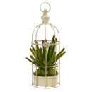 15” Cactus Succulent Artificial Plant in Decorative Cage