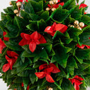 15" UV Resistant Artificial Red Tip Photinia Christmas Hanging Ball with Gold Berries (Indoor/Outdoor)