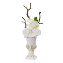 15” Phalaenopsis Orchid Arrangement in White Urn (Set of 2)