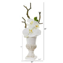 15” Phalaenopsis Orchid Arrangement in White Urn (Set of 2)
