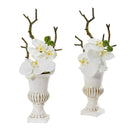 15” Phalaenopsis Orchid Arrangement in White Urn (Set of 2)