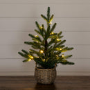 1.5' Pre-Lit Artificial Mini Christmas Tree in Basket with 20 Warm White LED Lights