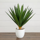 15” UV Resistant Artificial Agave Plant in White Planter (Indoor/Outdoor)