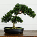 Cedar Bonsai 16" Silk Plant" by Nearly Natural