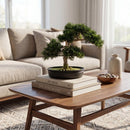 Cedar Bonsai 16" Silk Plant" by Nearly Natural