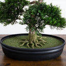 Cedar Bonsai 16" Silk Plant" by Nearly Natural