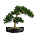 Cedar Bonsai 16" Silk Plant" by Nearly Natural
