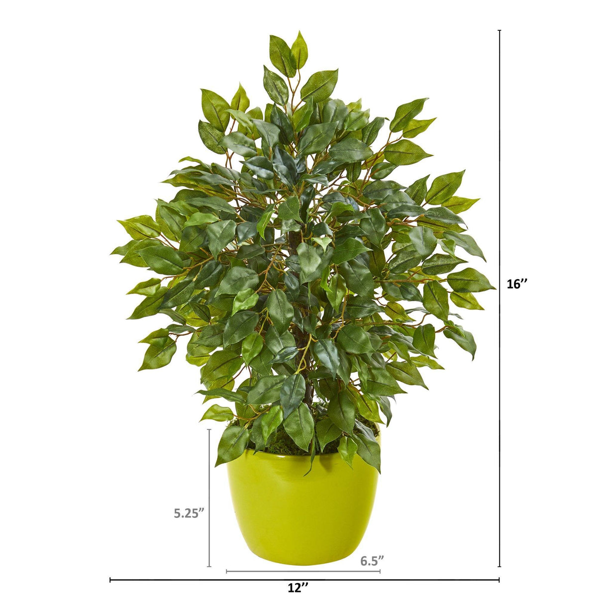 16” Mini Ficus Artificial Tree in Green Planter, photo 2 of 2
