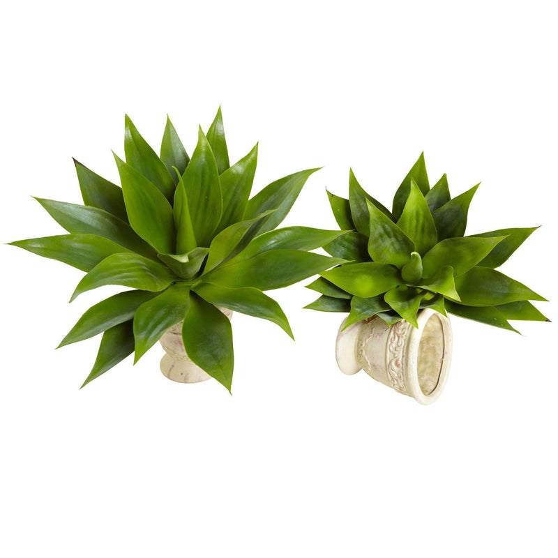 17” Agave Succulent Plant (Set of 2), photo 2 of 4