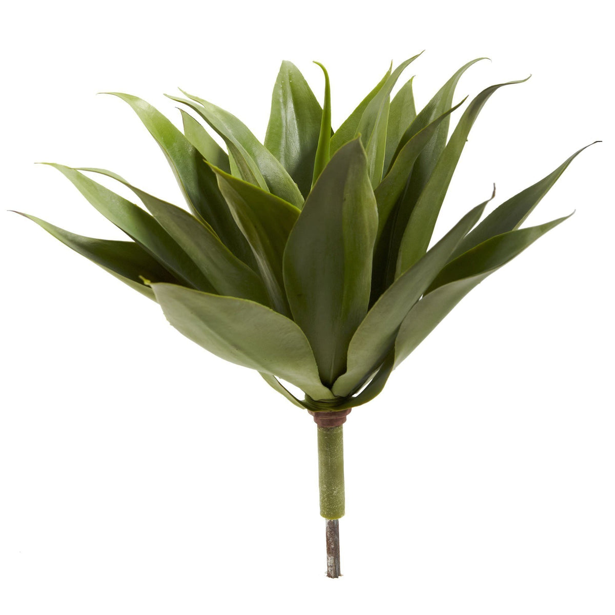 17” Agave Succulent Plant (Set of 2), photo 3 of 4