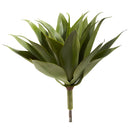 17” Agave Succulent Plant (Set of 2)