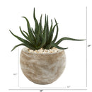 17” Aloe Succulent Artificial Plant in Sand Colored Planter