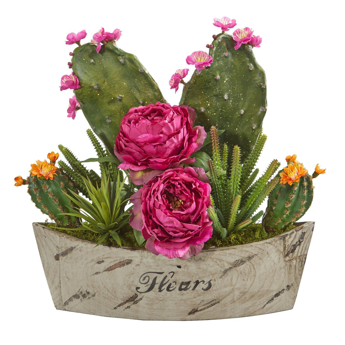 17” Peony, Succulent and Cactus Arrangement in Vase, photo 2 of 2