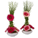18” Gerber Daisy and Grass Arrangement in Vase (Set of 2)