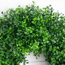 18" Pre-Lit Artificial Boxwood Wreath with 25 Warm White LED Lights