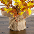 18" Pre-Lit Autumn Maple Artificial Fall Tree with 30 LED String Lights in Burlap Wrapped Base