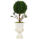 19” Boxwood Topiary Artificial Tree in White Urn UV Resistant (Indoor/Outdoor)