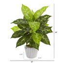 19” Dieffenbachia Artificial Plant in White Vase (Set of 2)