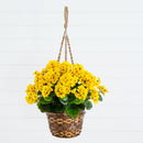 19” Geranium Hanging Basket Artificial Plant UV Resistant (Indoor/Outdoor) by Nearly Natural
