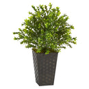 19” Sweet Grass Artificial Plant in Embossed Black Planter (Indoor/Outdoor)