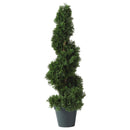 2' Cedar Spiral Silk Tree (Indoor/Outdoor)