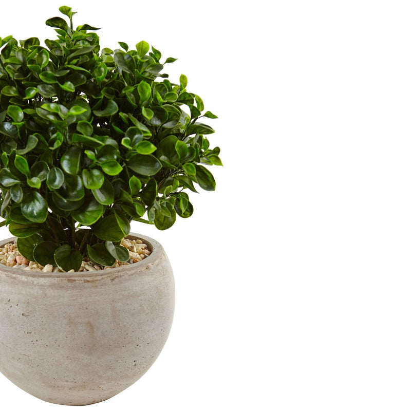 2’ Eucalyptus in Sand Colored Bowl UV Resistant (Indoor/Outdoor)