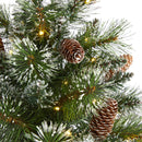 2’ Frosted Pine Artificial Christmas Tree with 35 Clear LED Lights, Pinecones and Burlap Base