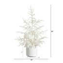 2' Artificial Real Touch White Norfolk Island Pine Christmas Tree with Natural Look