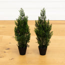 2’ Mini Cedar Pine Tree UV Resistant (Indoor/Outdoor) - Set of 2