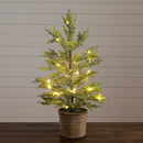 2’ Pre-Lit Artificial Snowed Cypress Christmas Tree with 30 LED Lights in Hyacinth Basket