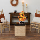 2' Pre-Lit Autumn Maple Artificial Fall Tree with 24 Warm White LED & Pumpkin Shaped Lights with Detachable Base
