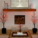 2’ Pre-Lit Halloween Deluxe Black Twig Artificial Tree with 44 Orange & Purple LED Lights