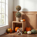 2’ UV Resistant Autumn Double Ball Boxwood Artificial Fall Topiary Tree (Indoor/Outdoor)