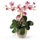 20" Artificial Mini Phalenopsis Moth Silk Orchid Arrangement"