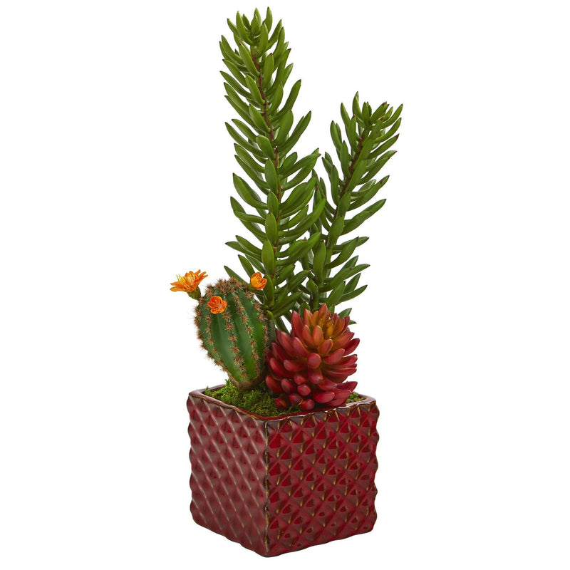 20” Mixed Succulent Artificial Plant in Red Ceramic Vase