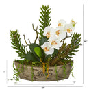 20” Orchid Phalaenopsis and Mix Succulent Artificial Arrangement