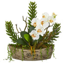 20” Orchid Phalaenopsis and Mix Succulent Artificial Arrangement