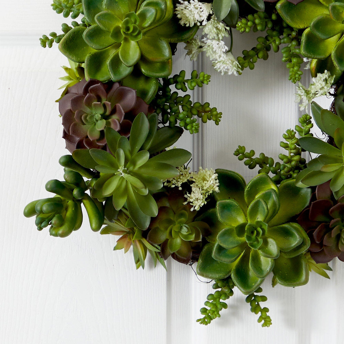 20" Succulent Wreath, photo 2 of 3