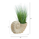 21” Onion Grass Artificial Plant in Shell Shaped Planter