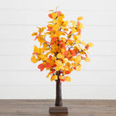 21" Pre-Lit Bright Autumn Eucalyptus Artificial Fall Tree with 50 Warm White LED Lights and Detachable Base