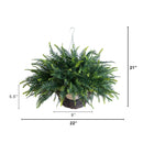 21" UV Resistant Artificial Fern in Hanging Basket (Indoor/Outdoor) - Set of 2