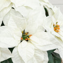 Poinsettia Artificial Arrangement in Decorative Planter