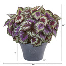 22” Begonia Artificial Plant in Gray Planter