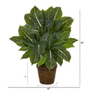 22” Evergreen Artificial Plant in Planter (Real Touch)
