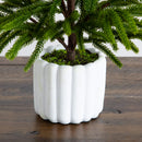 22" Artificial Real Touch Norfolk Island Pine in White Decorative Planter with Natural Look