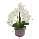 22” Phalaenopsis Orchid Artificial Arrangement in Stoneware Planter