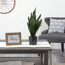 22" Sansevieria Artificial Plant