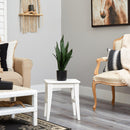 22" Sansevieria Artificial Plant